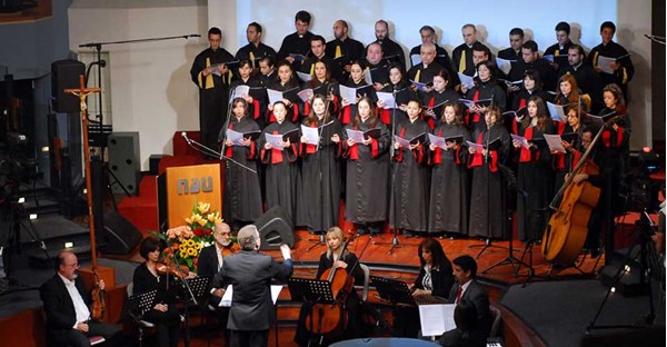 img (17)